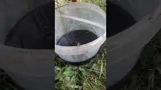 Замена масла на vento smart 1