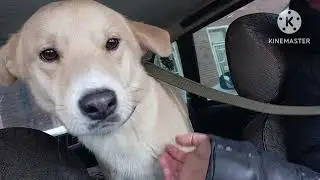 unexpected addition