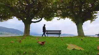 Lonely man sitting on Bench - No Copyright Video - Free Stock Footage