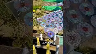 🔥Solar battery for pennies!