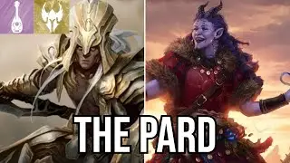 Pard: the ultimate paladin barb multiclass in dnd!!!