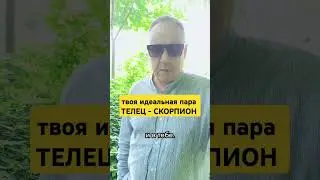 Кто твоя идеальная пара? Телец и Скорпион 