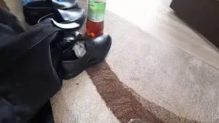 набор школьников