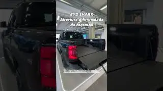 HAVE YOU EVER SEEN A PICKUP TRUCK LIKE THIS?