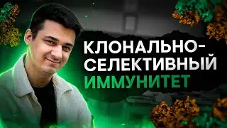 Теория клонально-селективного иммунитета (П Эрлих, Ф М Бернет, С Тонегава) | Биология | SMITUP