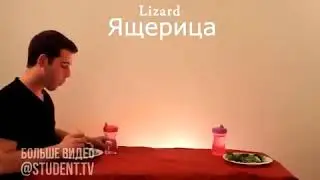 Как едят животные