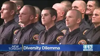 Sacramento Metro Fire Diversity Dilemma