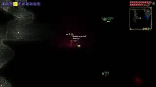 Terraria calamity, future vid????