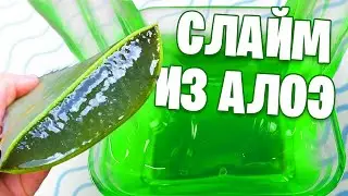 Слайм без клея из алоэ / Проверка нового рецепта слайма