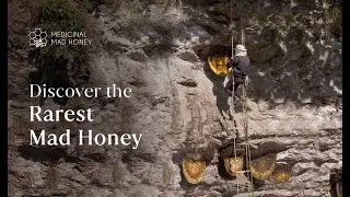 MAD HONEY: STORY BEHIND EVERY JAR OF MEDICINAL MAD HONEY | OFFICIAL TRAILER