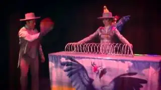 Дрессированные попугаи
