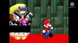Wario Apparition 19