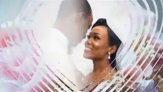 Wedding Transitions