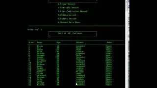 File handling in c / c++ - Hospital Database Management project