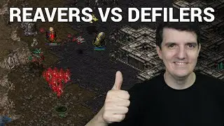 StarCraft 1: IMMACULATE PvZ - Hm vs Paralyze | Survivor Series