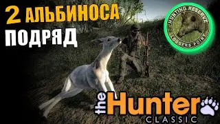 Небывалое везение в The Hunter Classic