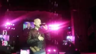HEME AQUI EN VIVO (PRESENTACION TEMA)
