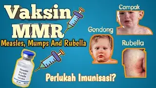 PENYAKIT MMR & VAKSIN MMR