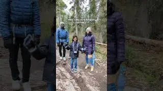 Funkyden Vlog | Vacation Diaries | Dad Jokes | Perfect Jokes to light up the mood