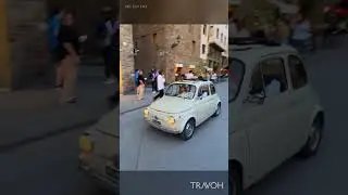 Classic Fiat 500 | Lungarno degli Acciaiuoli, Florence, Tuscany, Italy ⚜️🇮🇹🇪🇺 | Travel #shorts