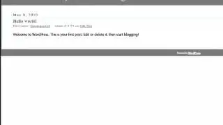 Manage Wordpress Theme