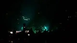 FOREST - twenty one pilots live