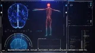 Любовь и ненависть. Взгляд каббалиста