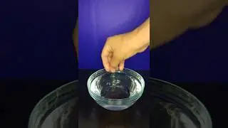 Did you see anything?|Orbeez in water #shorts