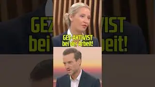 #GEZ-Aktivist betreibt #Framing im Auftrag des #ZDF ! ALICE #Weidel wehrt sich vehement!