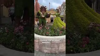 Disney Guest Arrested: Caught Watching Inappropriate Videos and Touching Himself on Ride🥴❌