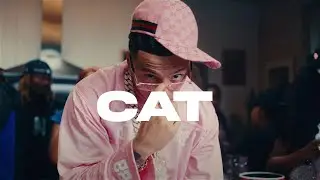 " CAT " - Central Cee X Ice Spicy Type Beat | Sexy Drill Melodic Type Beat 2024 Prod. by Rilo Beats