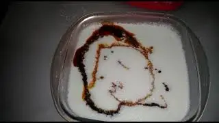 PUDIM SEM OVOS E SEM FORNO