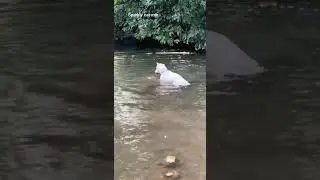 bring a Stone to me