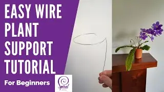 DIY Plant Support for Beginners | Spiral Crafts