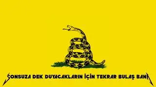 metallica - don't tread on me (türkçe çeviri)