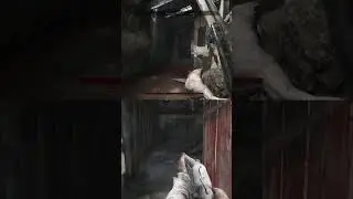 Top-Tier Co-op Internal Rush play Unveiled | Hunt:Showdown #huntshowdown #hunt #gaming