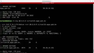 Trabajando con DIG - Debian 9