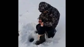 скромный браконьер на севере ловит окуней