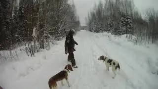 Охота с Эг Фаготом в Кировской области 25 01 2020 года.