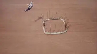 Great Escape