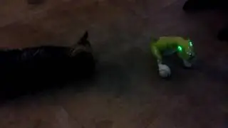 Miss Bella Meets T-Rex Video 2   20170519 194643