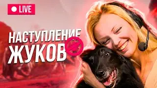 Вечернее шоу 