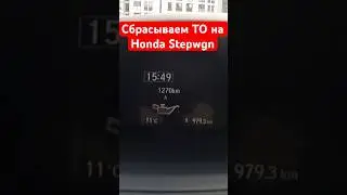 Сбрасываем ТО на Honda Stepwgn #honda #jdm #сбросто