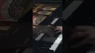 Scarlatti Sonata in E major K.380 - Nikolai Kuznetsov (piano) #piano