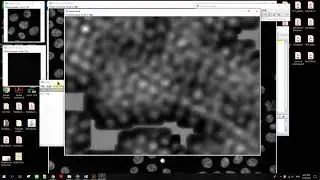 Template matching with ImageJ 