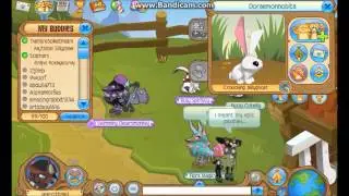 Giveaway (CLOSED)