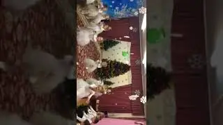 Василиса нов год 2018