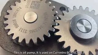 Oil pump 3415365 for Cummins 6CT, 6CTA8.3