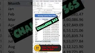 Day 22 - View 2 sheets side by side in Excel #exceltricks #excel #exceltutorial #exceltips