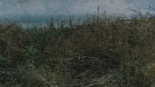 Nortas - Krantai